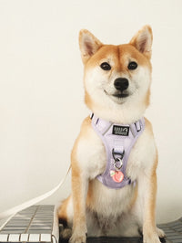 Peach Tag