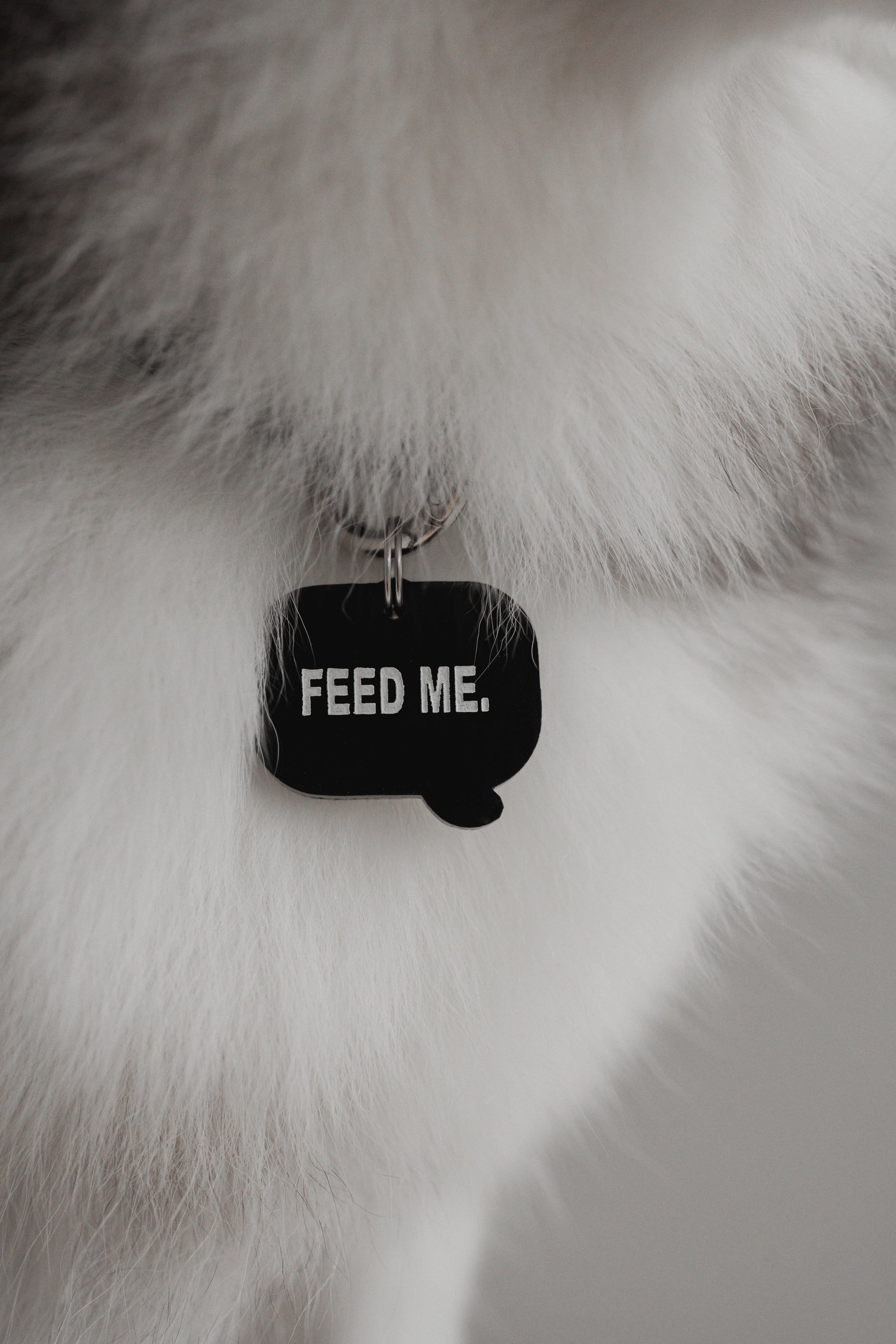 Speech Bubble Tag