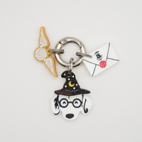 Wizard Pups Tag