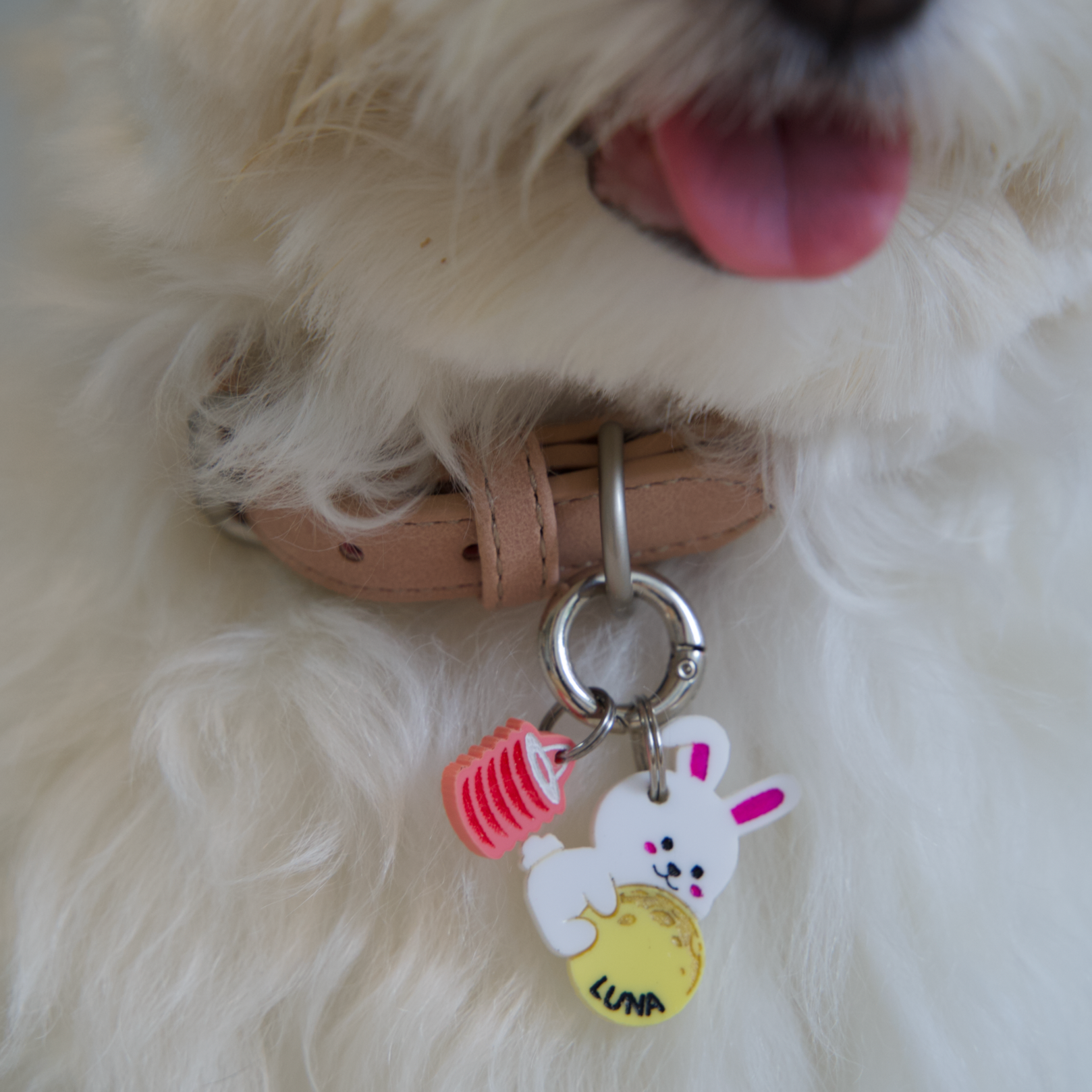 Mid-autumn Rabbit Tag