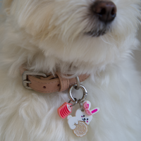 Mid-autumn Rabbit Tag