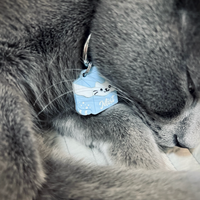 Cat Milk Carton